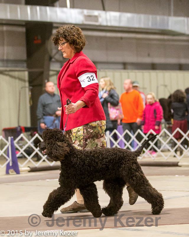 20160305-0177.jpg