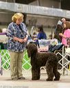 20160305-0240