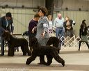 20160306-0584
