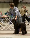 20160306-0308