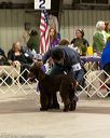 20160306-0171