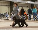 20160306-0100