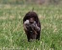 20160426-wcxl-0052