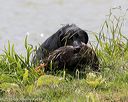 20160426-wcxw-0010