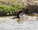 20160426-wcxw-0099