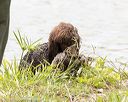 20160426-wcxw-0103
