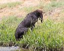 20160426-wcxw-0130