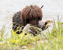 20160426-wcxw-0225