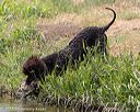 20160426-wcxw-0247