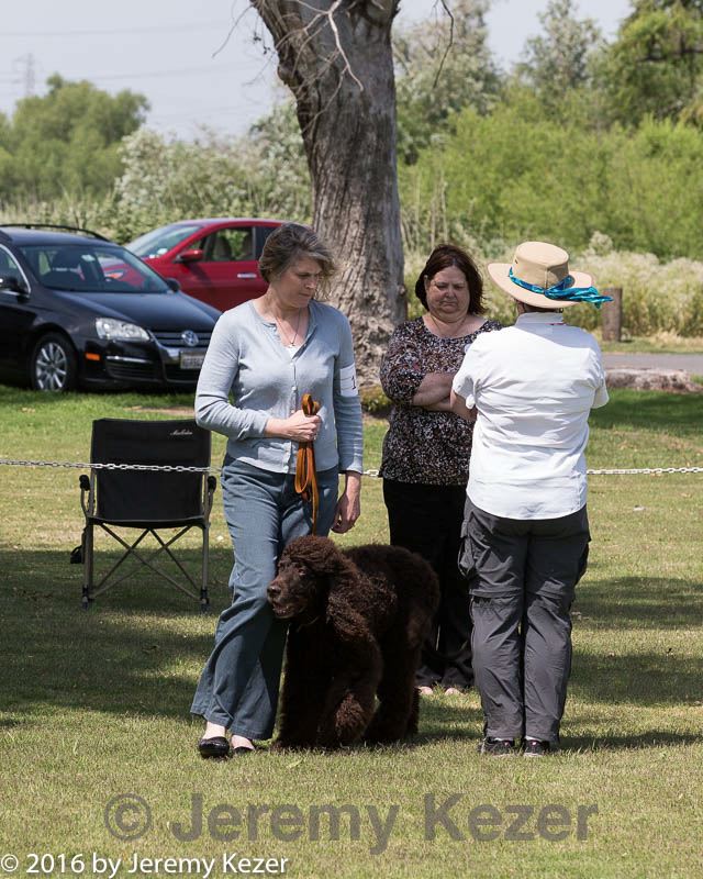 20160427-ob-0131.jpg