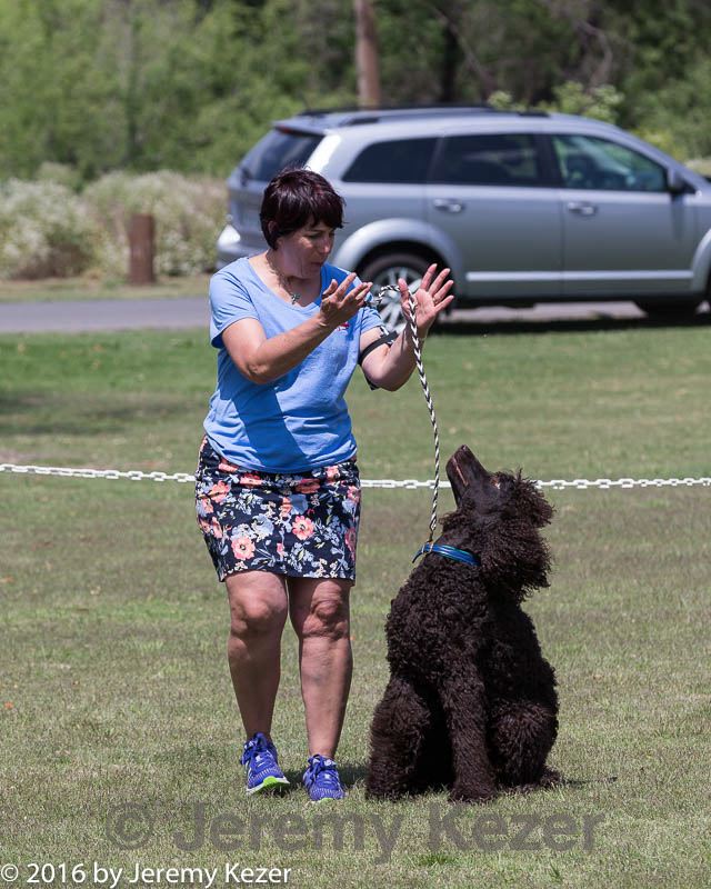 20160427-ob-0100.jpg