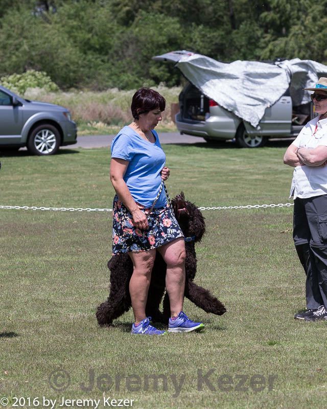 20160427-ob-0103.jpg