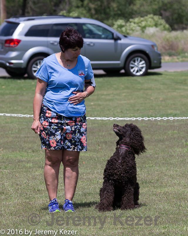 20160427-ob-0059.jpg
