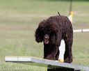 20160427-ag-0477