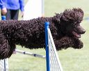 20160427-ag-0530