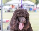 20160428-c-0015