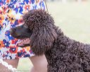 20160428-sw-0058