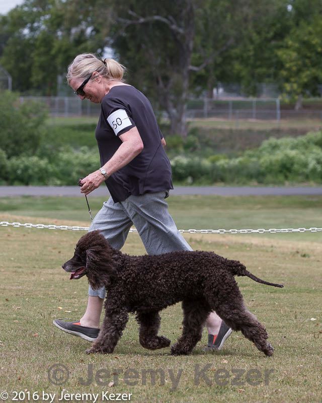 20160428-sw-0484.jpg