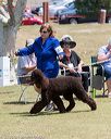 20160429-co-0650