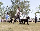 20160429-co-0755