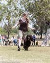 20160429-co-1106