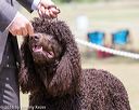 20160429-co-1153