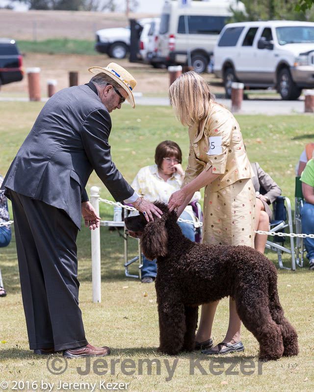 20160429-co-0575.jpg