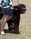20160429-co-0274