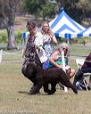 20160429-co-0526