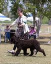 20160429-co-0541