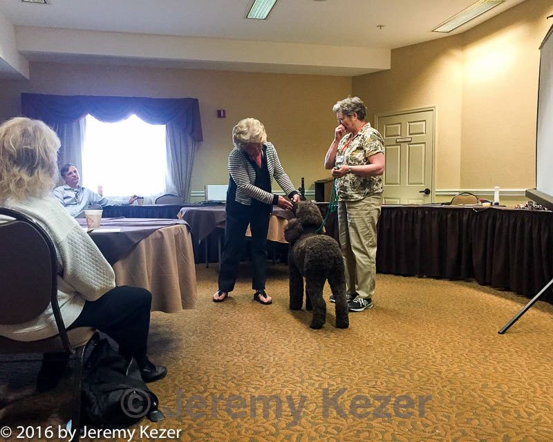 20160429-c-0002.jpg