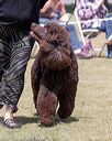 20160429-co-0508