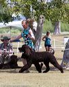 20160429-co-0189