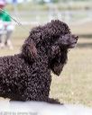 20160429-co-0212