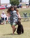 20160429-co-1247