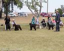 20160429-co-1248
