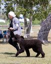 20160429-co-0404