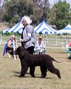 20160429-co-0409