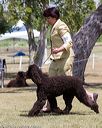 20160429-co-0450