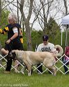 20160521-kdca-0093