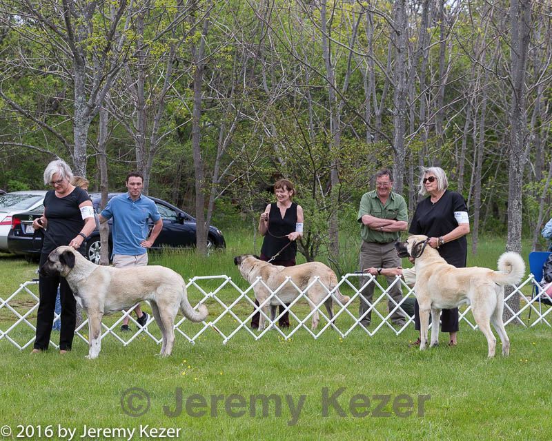 20160521-kdca-0110.jpg