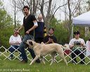20160521-kdca-0071