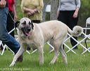 20160521-kdca-0072