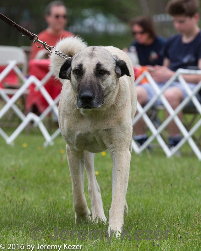 20160521-kdca-0065.jpg