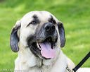 20160521-kdca-0009
