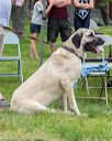 20160521-kdca-0023