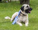 20160521-kdca-0244