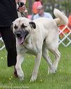 20160521-kdca-0044