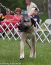 20160521-kdca-0132