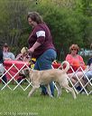 20160521-kdca-0211